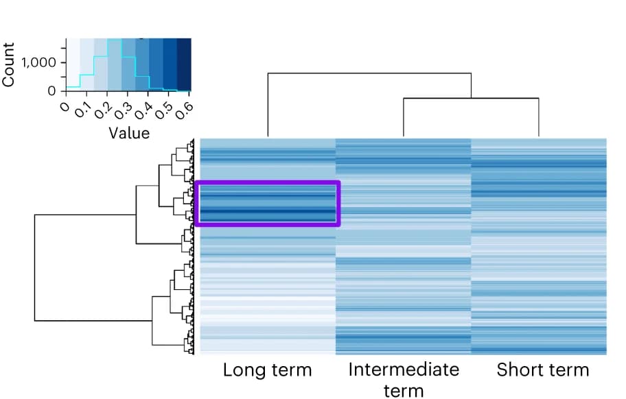 Open access visualization of Heatmap, Clustered, Histogram, Functional Analysis, In Vitro