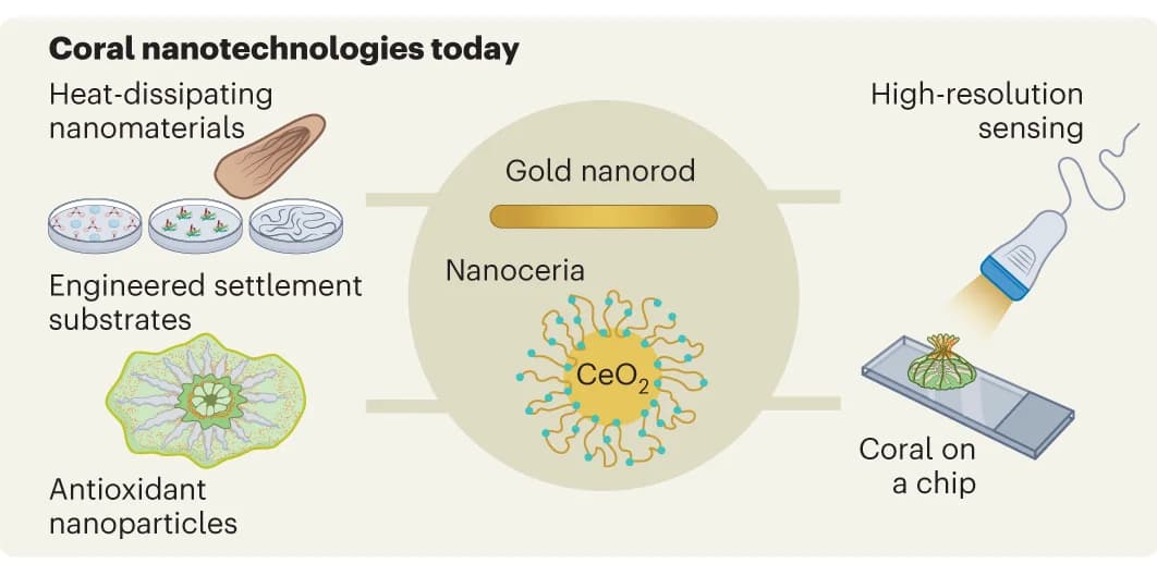 Open access visualization of Illustration, Workflow, Nanotechnologies, Gold Nanorods, Cryopreservation