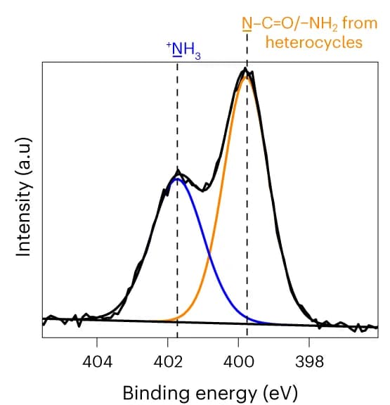 Open access visualization of Line Plot, Density Plot, XPS, N 1s, Binding Energy