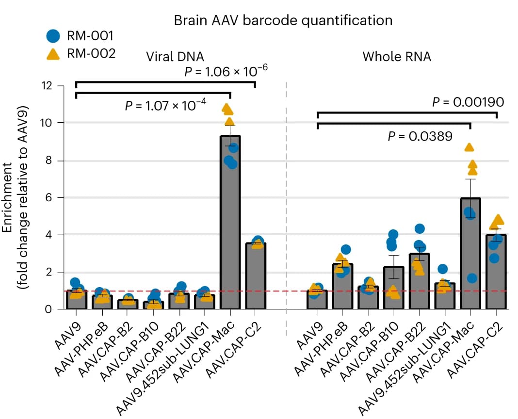 Open access visualization of Bar Plot, Error Bars, Scatter Plot, Viral DNA, RNA