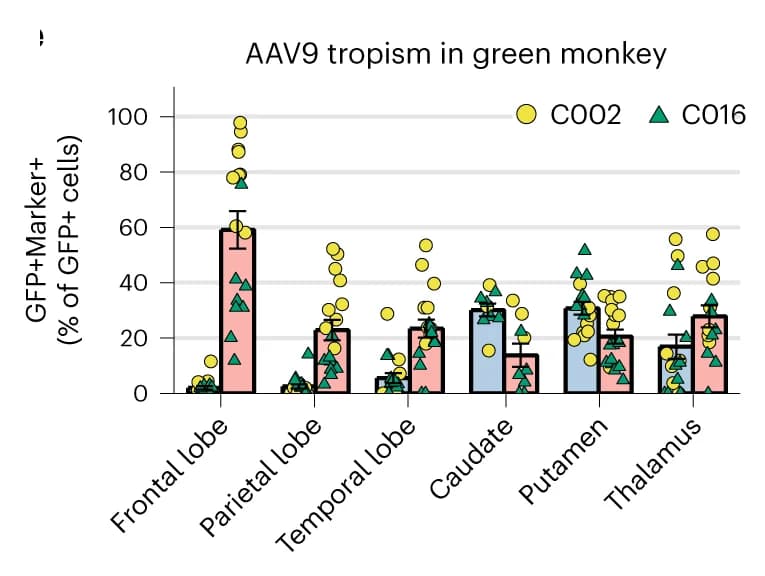 Open access visualization of Bar Plot, Error Bars, Scatter Plot, Fluorescent Reporters, NeuN