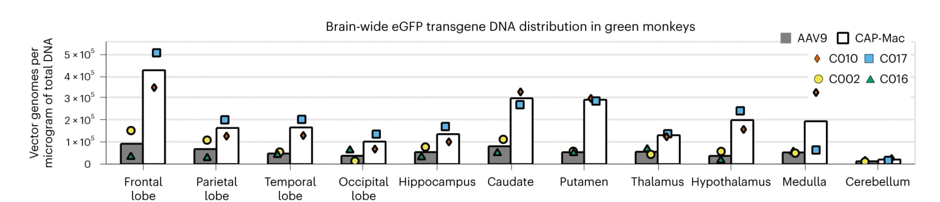 Open access visualization of Bar Plot, Scatter Plot, CAP-Mac, AAV9, eGFP Transgene