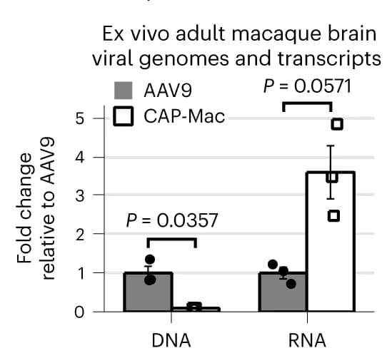 Open access visualization of Bar Plot, Error Bars, Quantification, CAP-Mac, Transgene