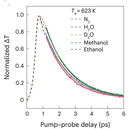 Open access visualization of Line Plot, Electron Temperature, Photoexcitation, Raw Data, Exponential Fits