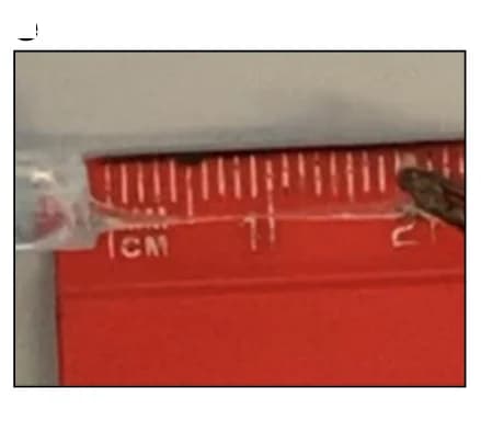 Open access visualization of Photo, TSAM, Stretched
