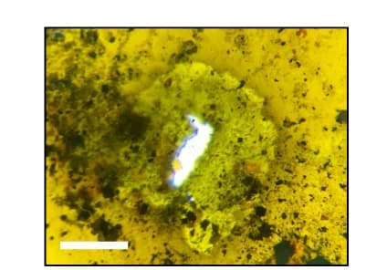Open access visualization of Microscopy, Photo, Tape, Basalt Projectile, Hole Formation