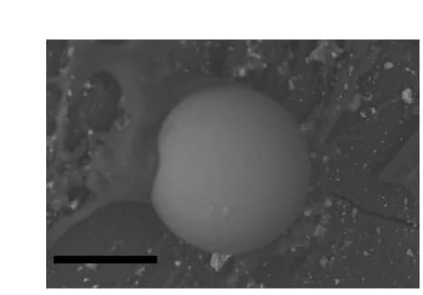 Open access visualization of Microscopy, SEM Image, Basalt Particle, TSAM