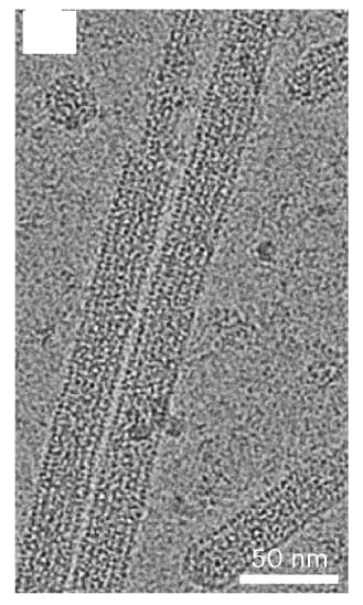 Open access visualization of Microscopy, Double-Layered Filaments, DNA Origami
