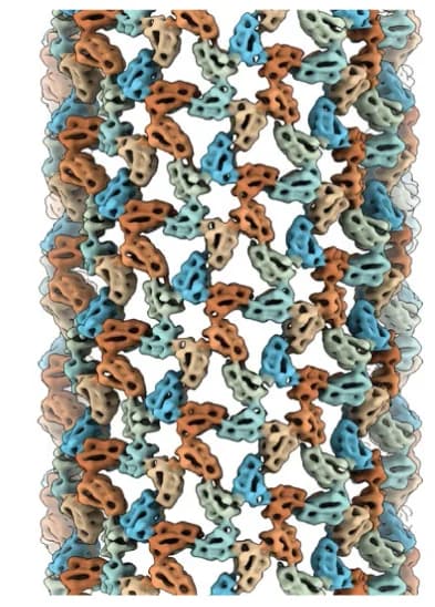 Open access visualization of Protein Structure, Cryo-EM, Double-Layered Tube, DNA Origami