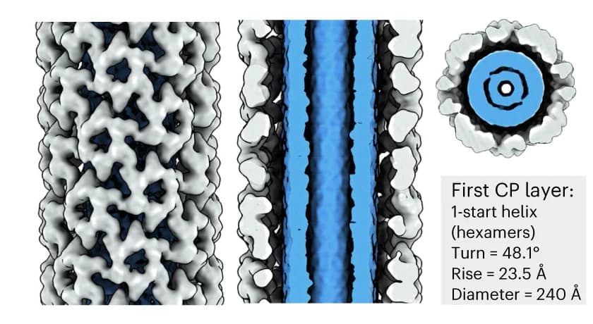 Open access visualization of Protein Structure, Cryo-EM, Density Maps, DNA Origami