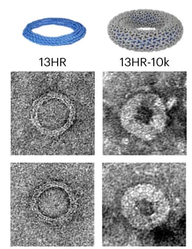 Open access visualization of Microscopy, Chemical Structure, Negative-Stain TEM, DNA Origami, Complexation