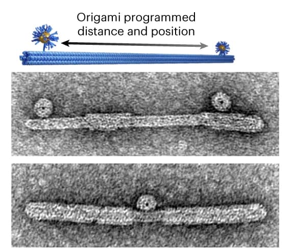 Open access visualization of Microscopy, Protein Coating, Gold Nanoparticles, DNA Origami