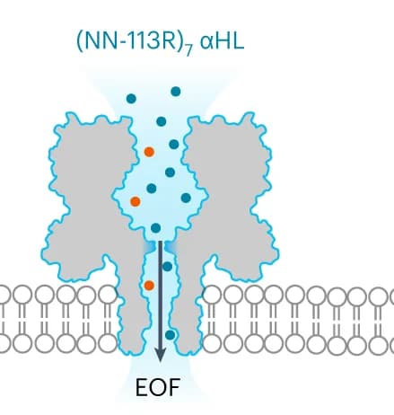 Open access visualization of Illustration, Workflow, Current traces, Trx-linker octamers, Nanopore