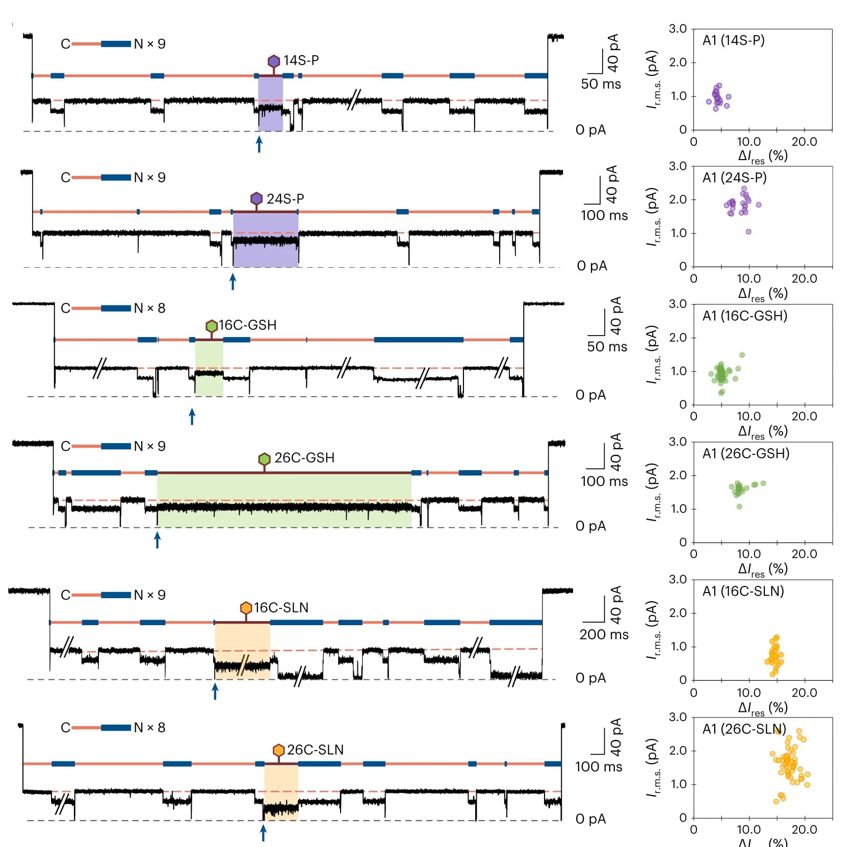 Open access visualization of Line Plot, Scatter Plot, Translocation Events, Trx-linker nonamers, PTM