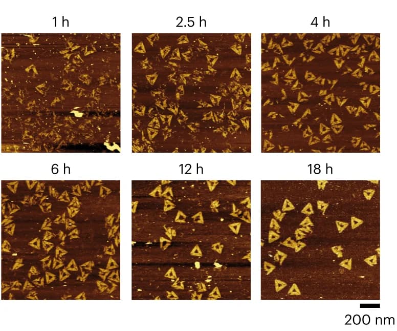 Open access visualization of Microscopy, AFM, Isothermal Origami Formation, DNA Origami, Incubation Time