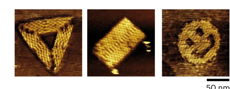 Open access visualization of Microscopy, AFM Images, Isothermal Assembly, DNA Origami, Staples