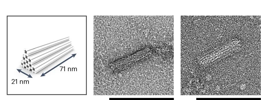 Open access visualization of Microscopy, Illustration, TEM, Isothermal Assembly, Toblerone-like Structures