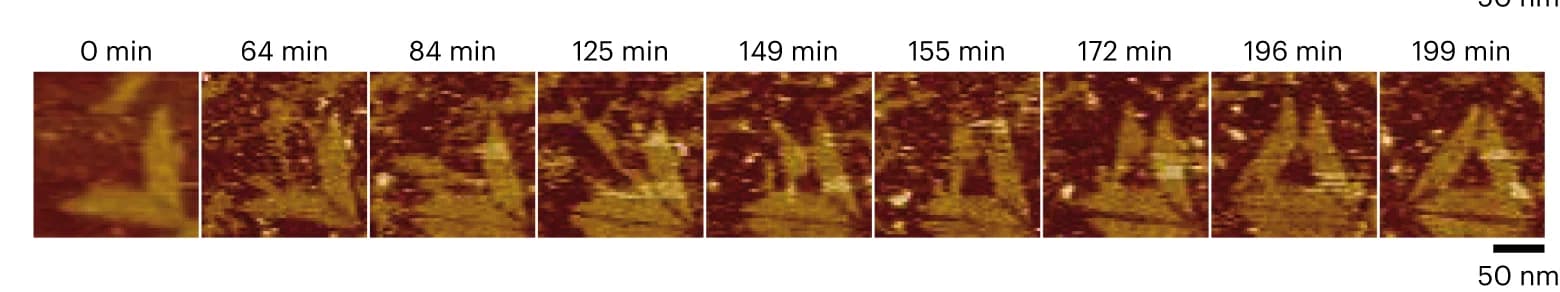 Open access visualization of Microscopy, Origami Folding, AFM, Folding Pathways