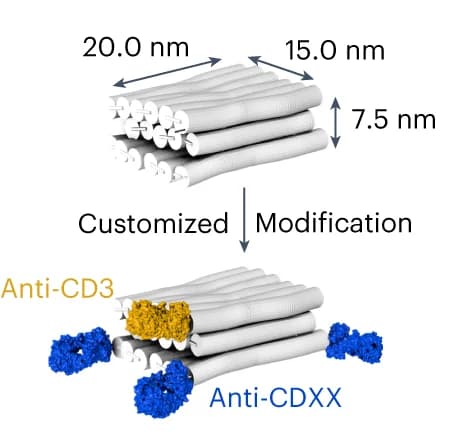 Open access visualization of Illustration, Chemical Structure, Workflow, Antibody, DNA
