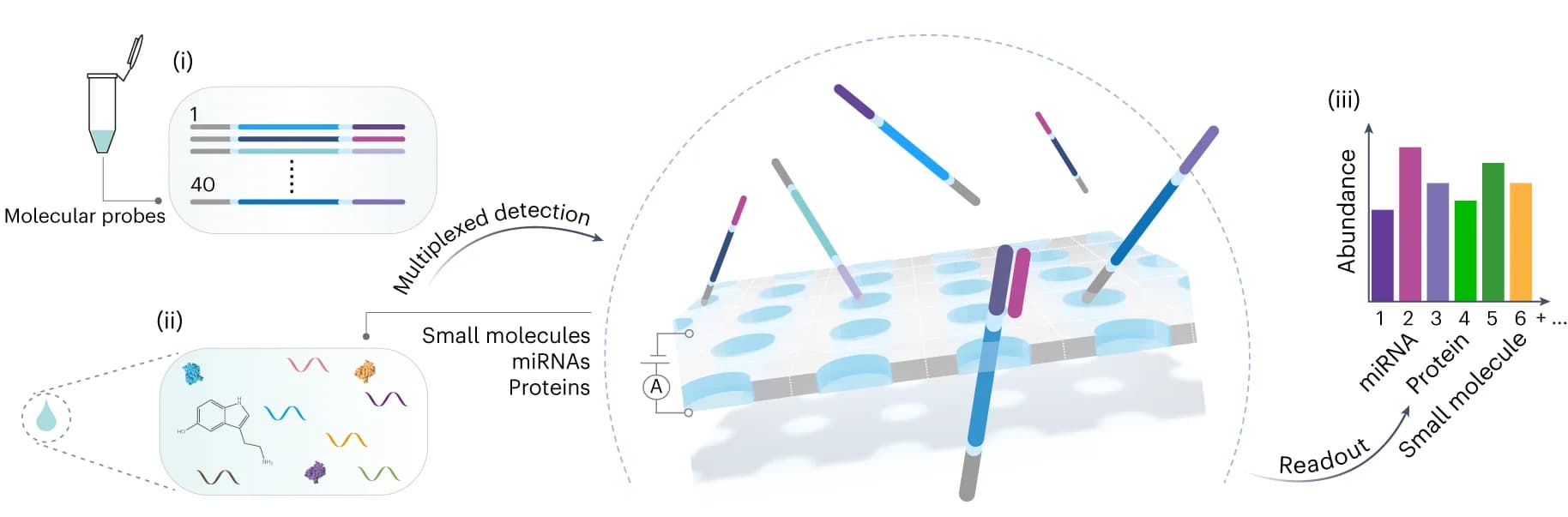 Open access visualization of Workflow, Bar Plot, Illustration, miRNAs, Proteins