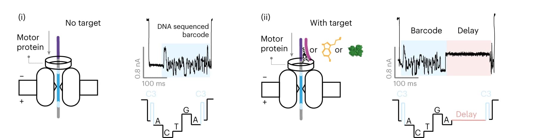 Open access visualization of Line Plot, Illustration, Base Calling, Barcoded Probes, Current Traces