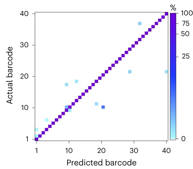 Open access visualization of Heatmap, Confusion matrix, Alignment accuracy, Barcoded probe