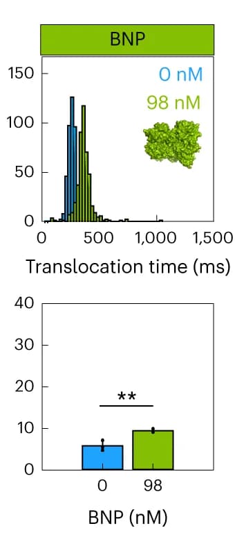 Open access visualization of Histogram, Bar Plot, Error Bars, Barcoded Probes, Translocation Time
