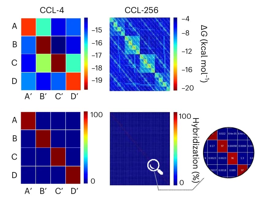 Open access visualization of Heatmap, Clustered, Free Energy, Hybridization Interactions, Crosslinker Libraries