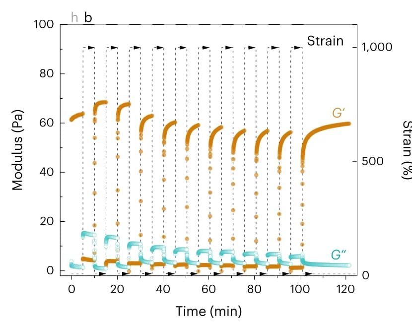 Open access visualization of Line Plot, Line Step, Self-healing, Strain recovery tests, Stiffness