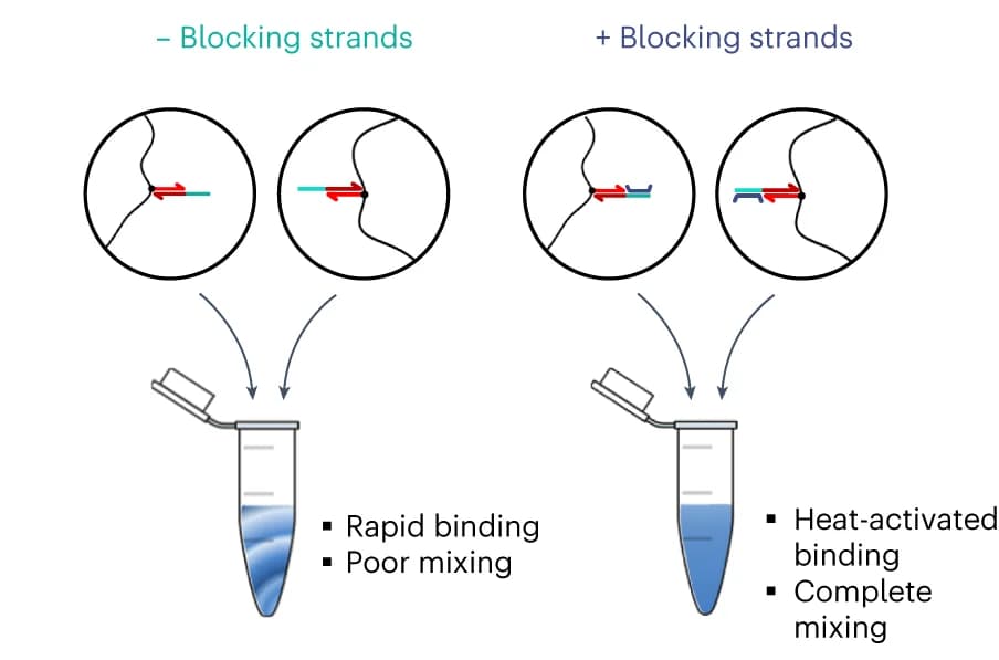 Open access visualization of Workflow, Illustration, Liquid Precursor, Mixing, Blocking Strands