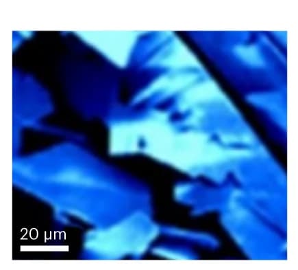 Open access visualization of Microscopy, FESEM, Atomic Sheets, Mo Whiskers