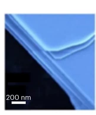 Open access visualization of Microscopy, FESEM, Atomic Sheets, Mo Whiskers