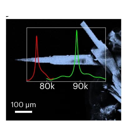 Open access visualization of Line Plot, Microscopy, SEM Images, Mo Cantilevers, Amplitude