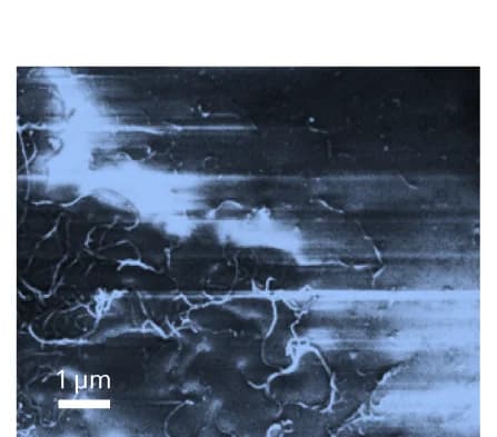 Open access visualization of Microscopy, SEM Images, Multiwalled Carbon Nanotubes, Glass, Molybdenene