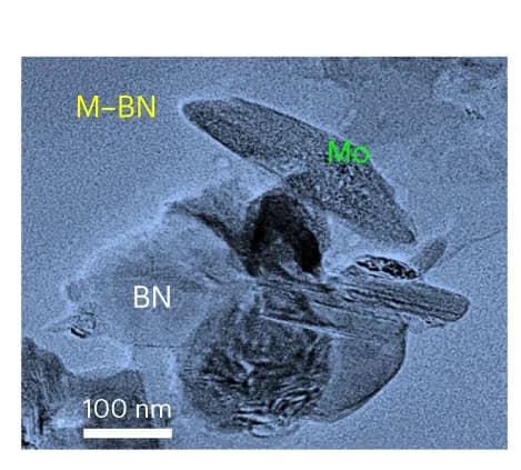 Open access visualization of Microscopy, TEM Image, MBN