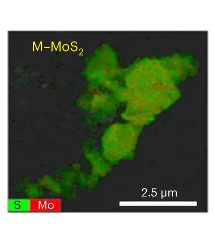 Open access visualization of Microscopy, Elemental Mapping, MMoS 2 Hybrid, Mo, S