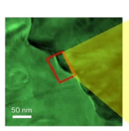 Open access visualization of Microscopy, TEM Image, MMoS 2