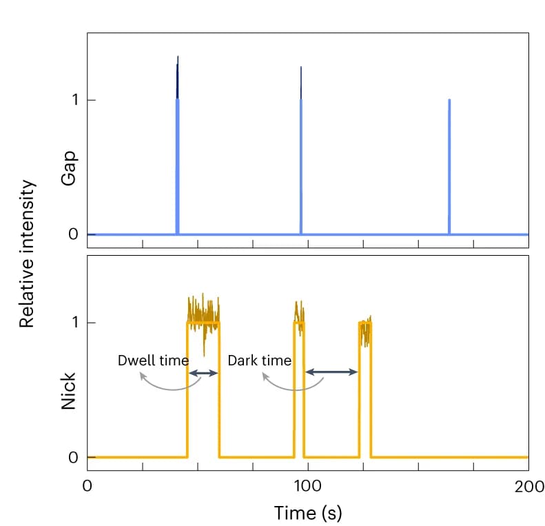 Open access visualization of Line Plot, Line Step, Assay Site, Time Traces, Dark Time