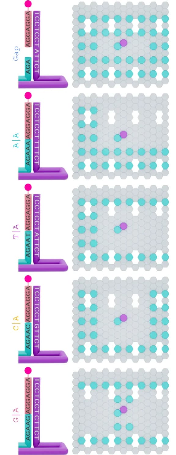 Open access visualization of Illustration, Origami Grids, Assay Sites, Parallel Imaging