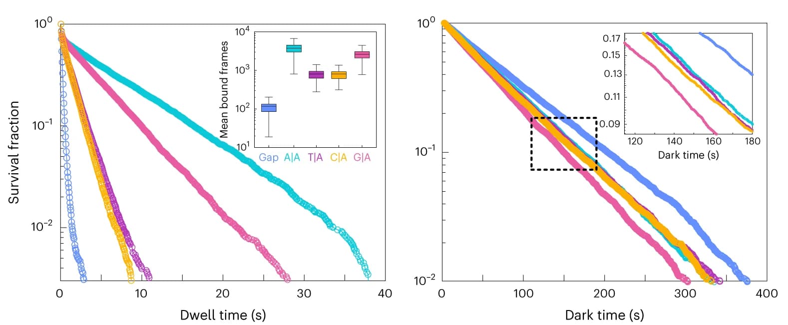 Open access visualization of Survival Curve, Line Plot, Box Plot, Survival Fractions, Dwell Times