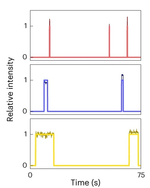 Open access visualization of Line Plot, Line Step, Imager, Binding Time Traces, Photon Count