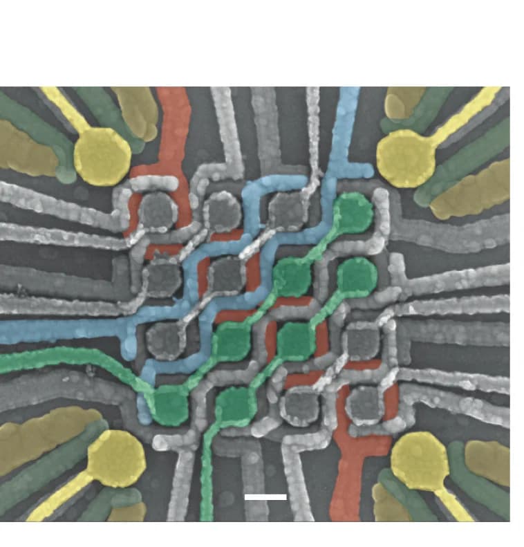 Open access visualization of Microscopy, Scanning Electron Microscopy, Crossbar Array Device, Quantum Dots, Charge Sensors