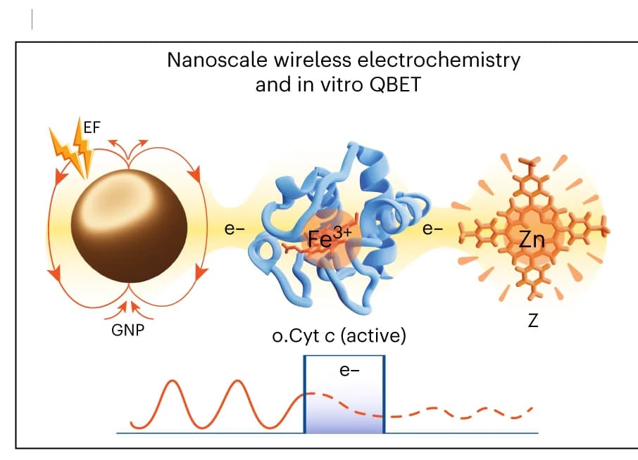 Open access visualization of Illustration, Workflow, Electrical Fields, Wireless Electrochemistry, Bio-nanoantennae