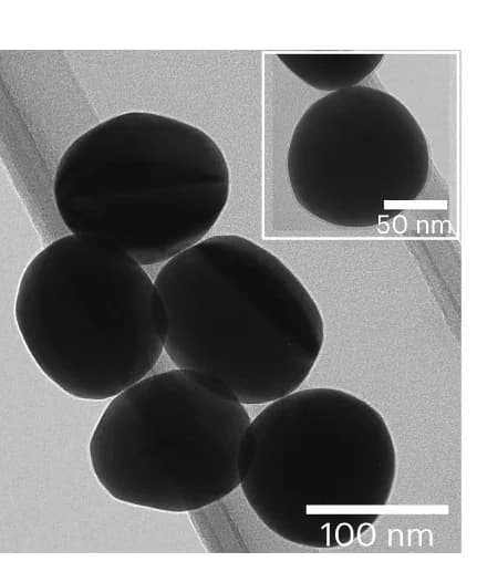Open access visualization of Microscopy, TEM image, Bio-nanoantennae, GNP100, r.Cyt c