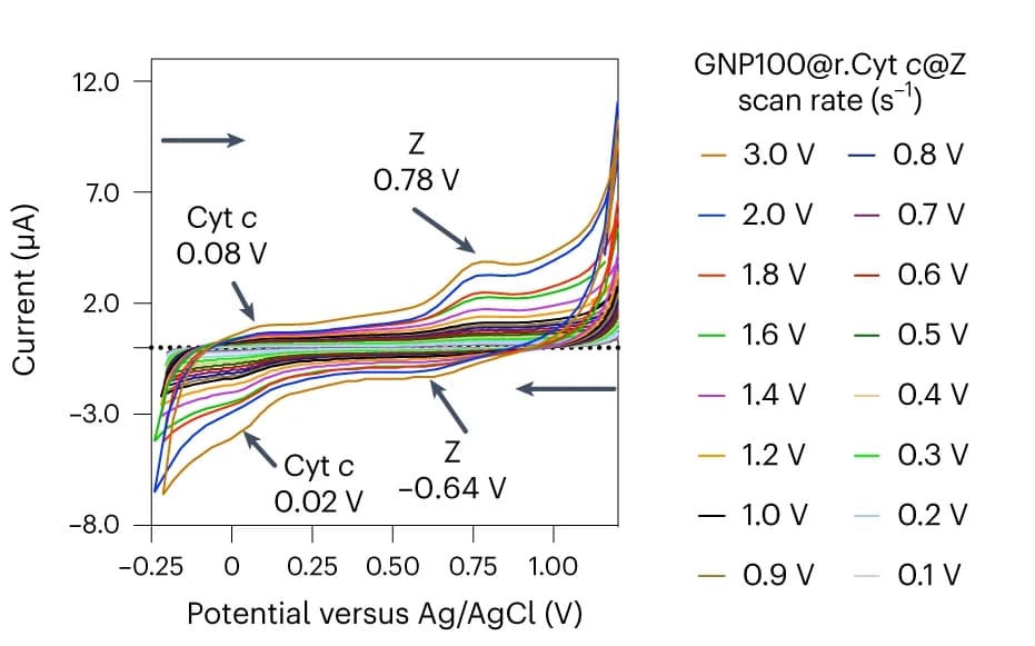 Open access visualization of Line Plot, Cyclic voltammetry, Redox properties, GNP100, r.Cyt c