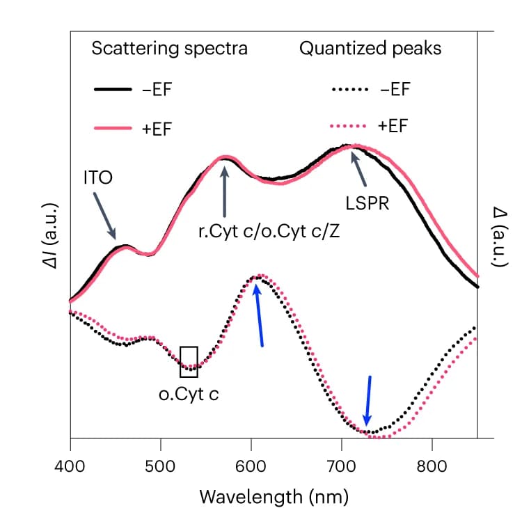Open access visualization of Line Plot, Scattering Spectra, Spectra Difference, Bio-nanoantennae, Quantized Peaks