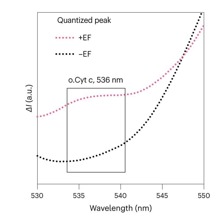Open access visualization of Line Plot, Quantized Peaks, Electric Fields