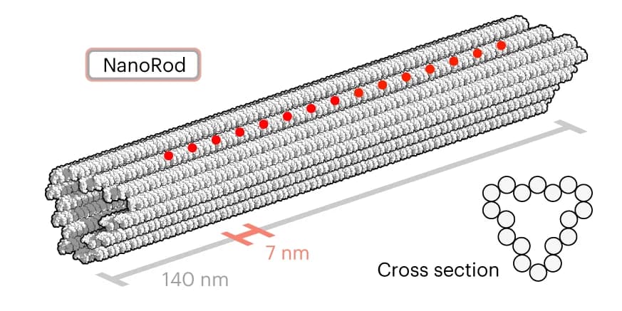 Open access visualization of 3D Plot, Chemical Structure, DNA Origami, NanoRod, DNA strands