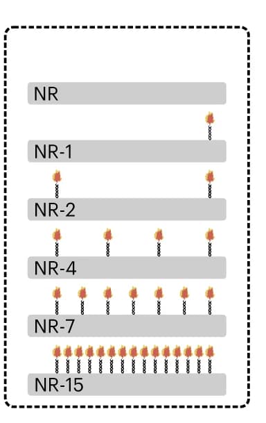 Open access visualization of Bar Plot, NanoRods, Schematic