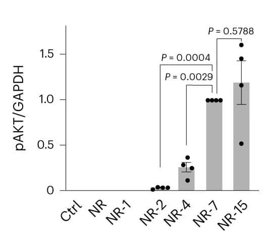 Open access visualization of Bar Plot, Error Bars, Scatter Plot, Phosphorylated AKT, Adipocytes